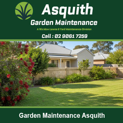 Well maintained garden with house in Asquith