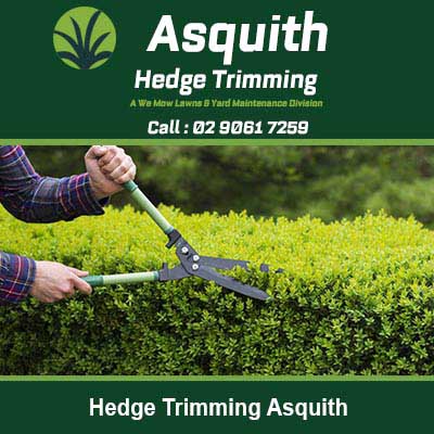 Using hedge trimmers to cut a green hedge in Asquith
