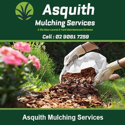 Pouring wood chip mulch from a bag to garden soil in Asquith