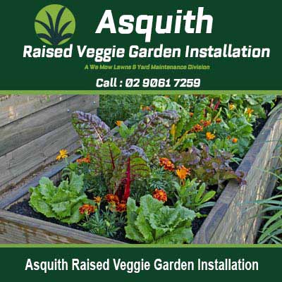 Wooden raised garden beds in Asquith