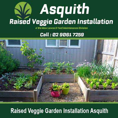 Wooden raised garden beds with vegetables in in Asquith