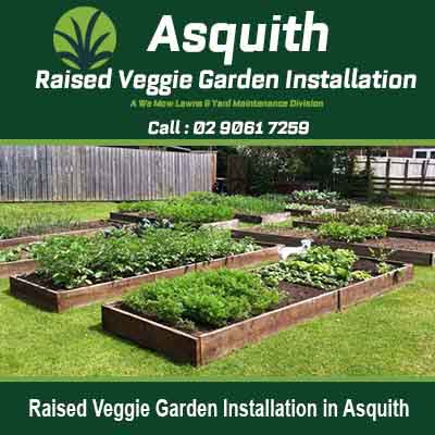 Wooden raised garden beds arranged on lawn in Asquith