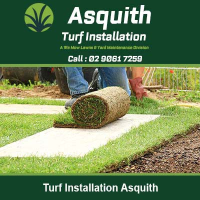 Person rolling out turf for lawn installation in Asquith