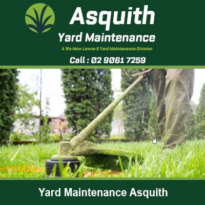 String trimmer cutting grass around a tree trunk in Asquith